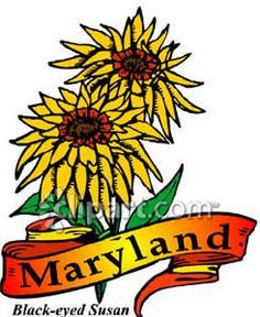 236x288 Maryland's Nickname Is The Old Line State Maine