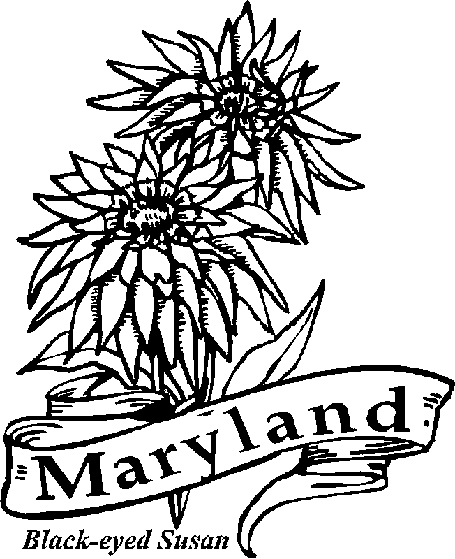 652x800 Maryland Coloring Page Many Interesting Cliparts