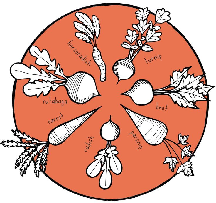 736x690 Clip Art Mashed Potatoes Clipart 1865953