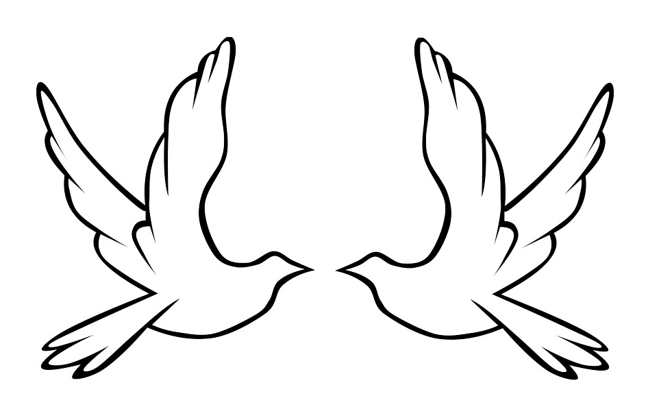 946x581 Drawn Turtle Dove Line Drawing