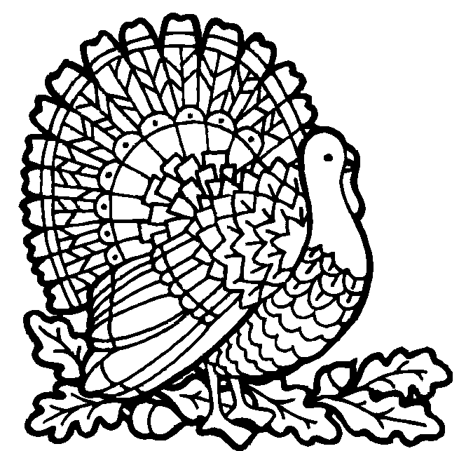 655x643 Thanksgiving Coloring Pages