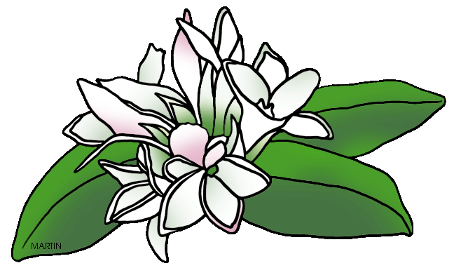 648x382 United States Clip Art By Phillip Martin, Massachusetts State