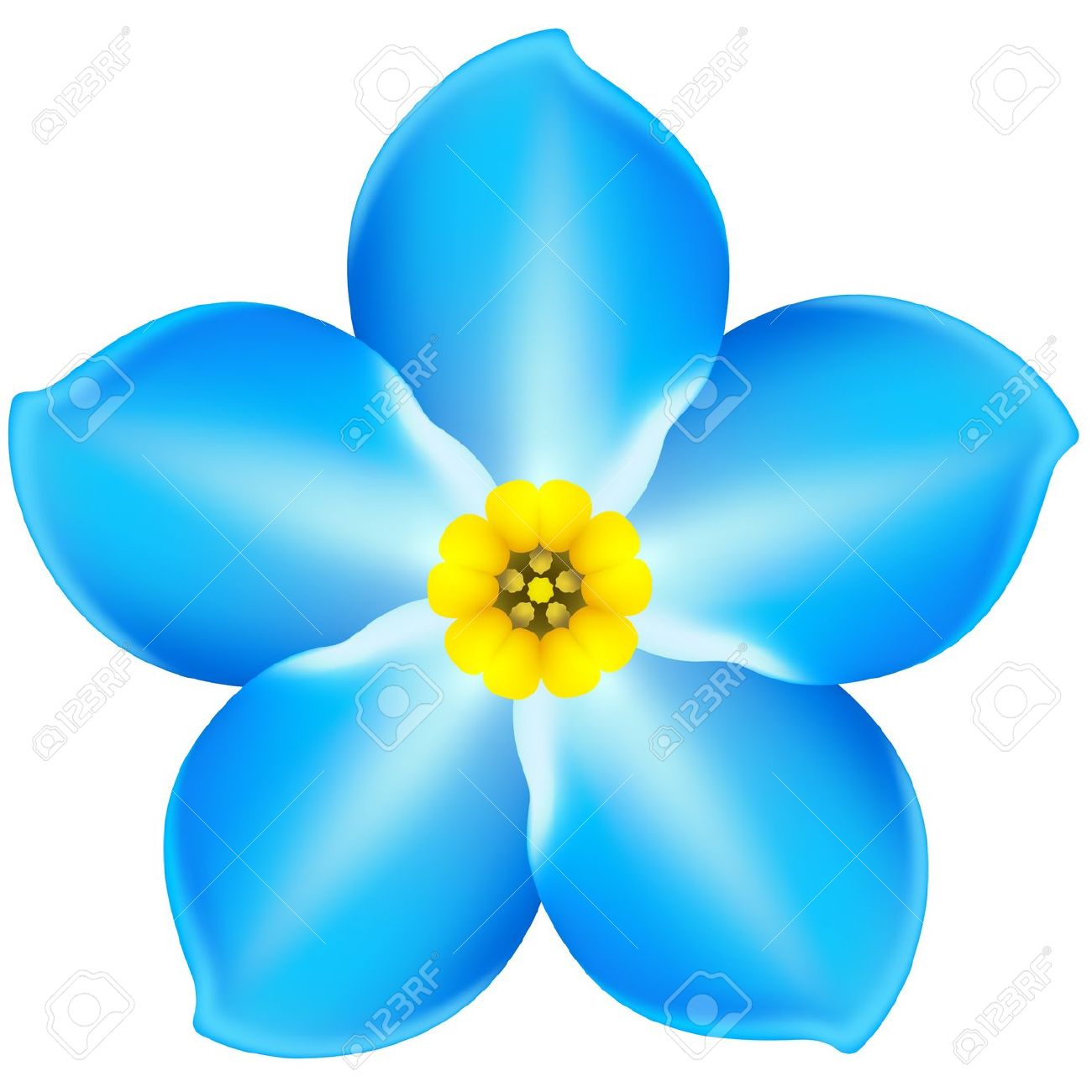 1300x1300 Forget Me Not Clip Art Cliparts