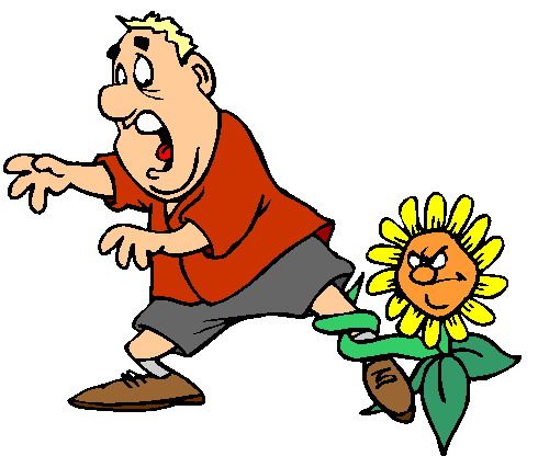 490x416 25 Best Gardening Images Clip Art, Plants And Flowers