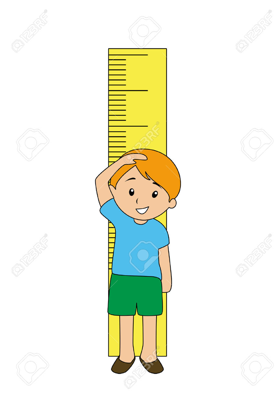 904x1300 The Height Of The Clipart