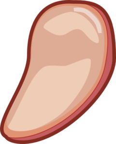 240x297 Meat Clip Art