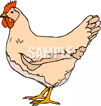 334x350 Royalty Free Hen Clip Art, Farm Animal Clipart