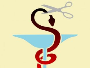 310x233 Snake Head Clip Art Free Vector Free Vectors Ui Download