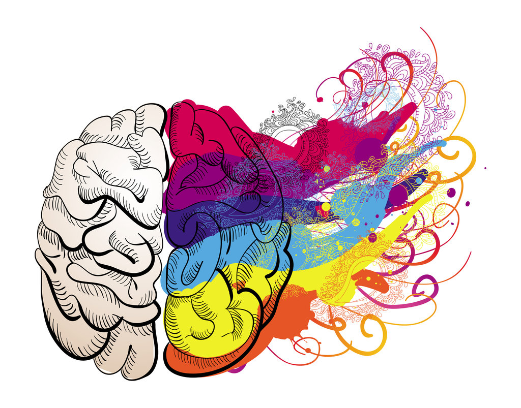 1024x803 Brain Clipart Memory