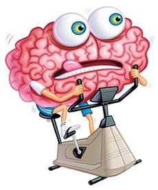 230x277 Mind Clipart Working Memory