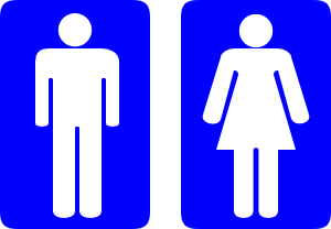 300x208 Go Where Sex, Gender, And Toilets