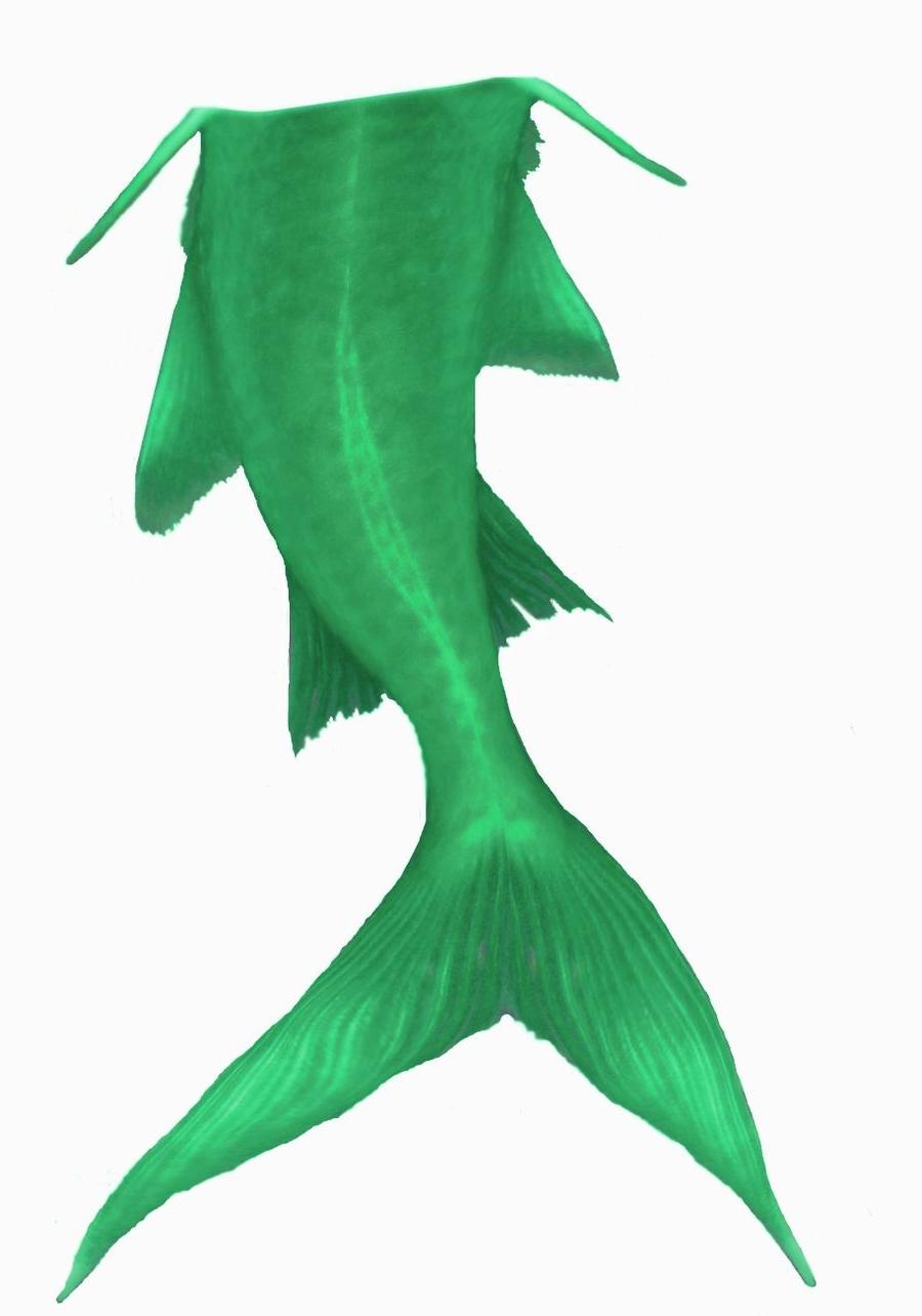 900x1284 Top Mermaid Tail Clipart Green By Hasureborn Drawing
