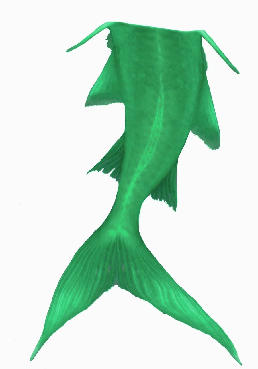 900x1284 Mermaid Clipart Mermaid Tail