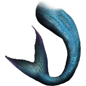 300x300 Mermaid Tail Png Transparent Mermaid Tail.png Images. Pluspng