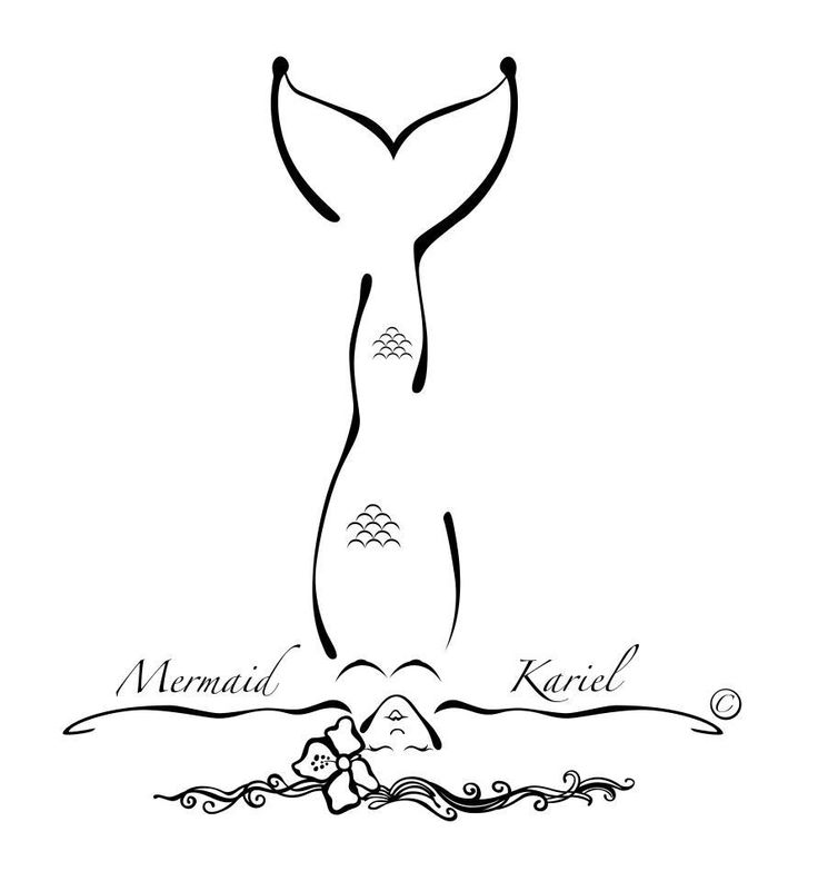 736x792 66 Best Logo And Branding Photography Images