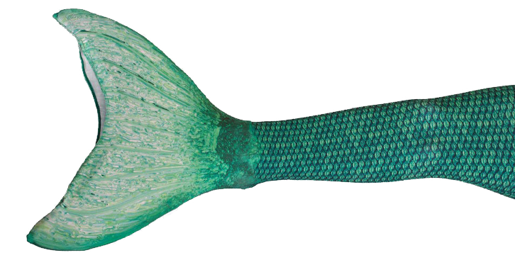 726x384 Mermaid Tails Now Available! Skye's Secret Mermaid Club