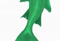 200x135 Best Mermaid Tail Fins Vector Image