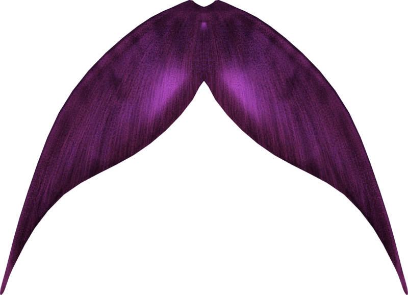 800x578 Mermaid Tail 003 By Zememz