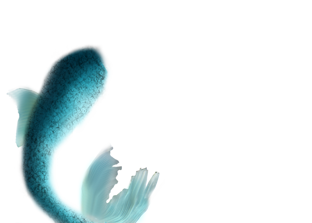 1024x731 Mermaid Tail Digital Painting By Emofires