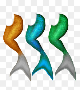 260x291 Mermaid Tail Png, Vectors, Psd, And Icons For Free Download Pngtree