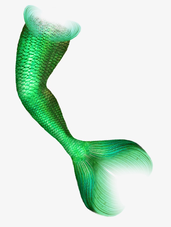 650x866 Mermaid, Mermaid Tail, Green Tail Png And Psd File For Free Download