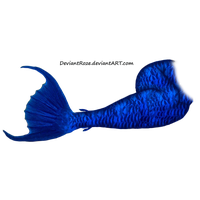 200x200 Download Mermaid Tail Free Png Photo Images And Clipart Freepngimg