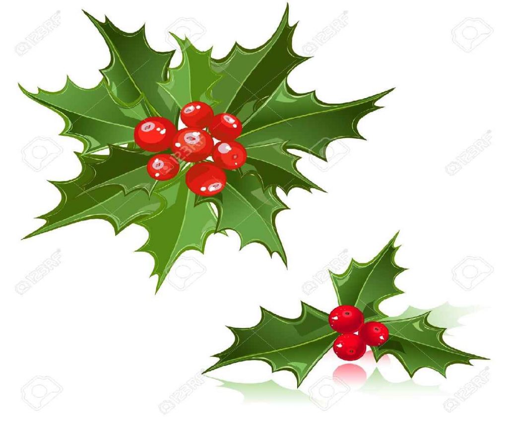 1024x853 Christmas ~ Christmas Flowers Clip Art Free Best Images