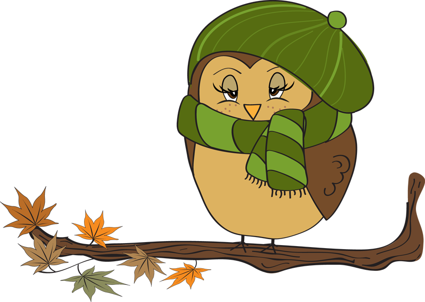 844x600 Owl Clipart November