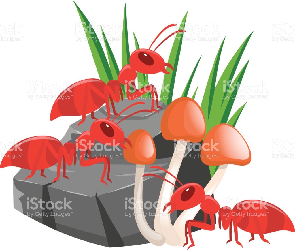 1024x867 Rock Clipart Three