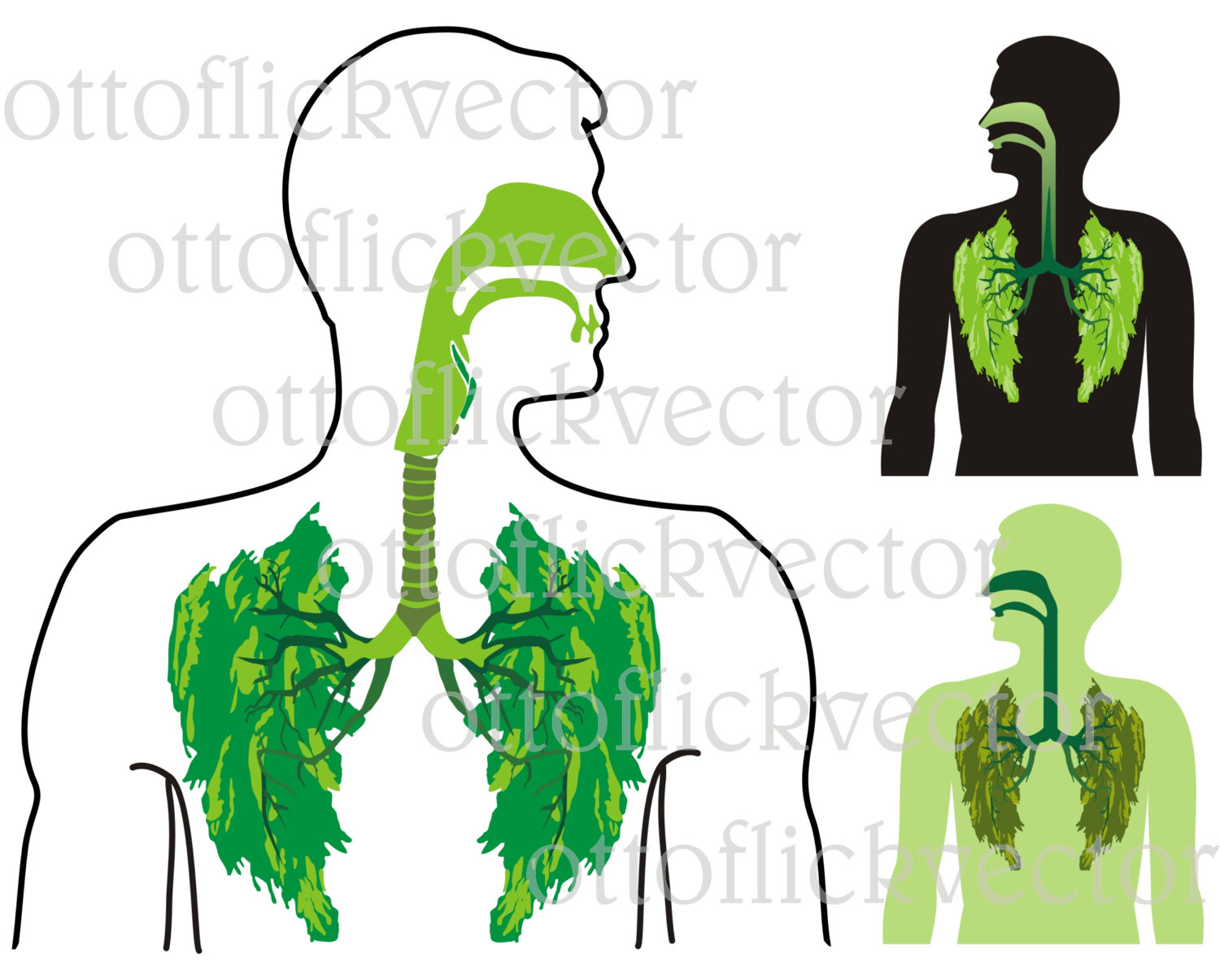 1500x1205 Green Lung Clipart, Anatomy, Human Organ, Medical, Environmental