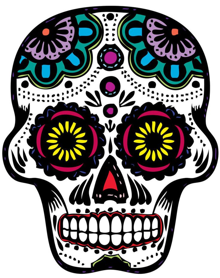 736x931 580 Best Day Of The Dead Images Bird, Bones And Death