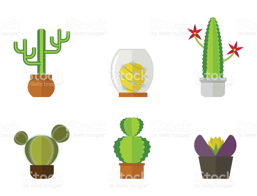 1024x783 Cactus Clipart Mexico Food
