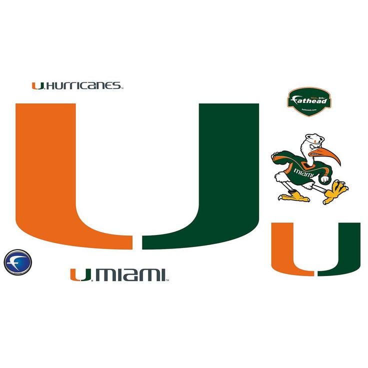 736x736 Die Besten Hurrikan Logo Ideen Auf Miami