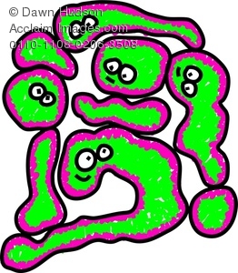 262x300 Bacteria Clipart Microbiology