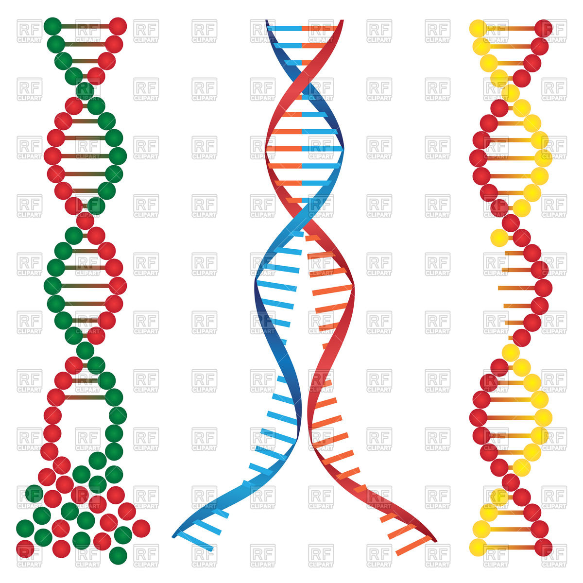1200x1200 Broken Dna Chains Royalty Free Vector Clip Art Image