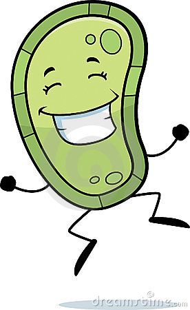 276x450 Escherichia Coli Clipart Happy