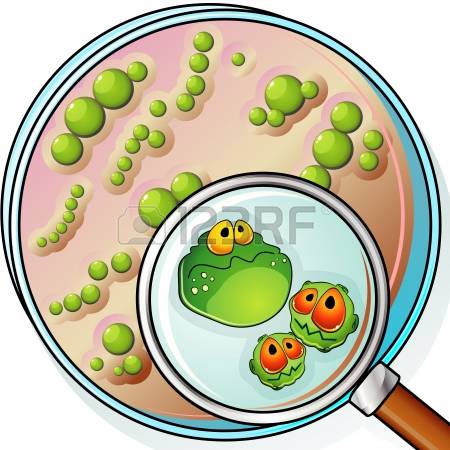 450x450 Microbiology Clipart