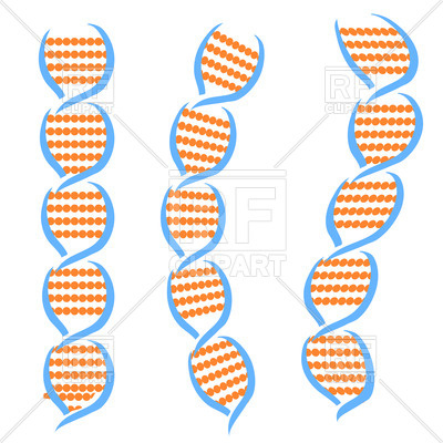 400x400 Structure Of Dna Molecules Royalty Free Vector Clip Art Image