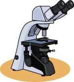 153x170 Free Microscope Clipart