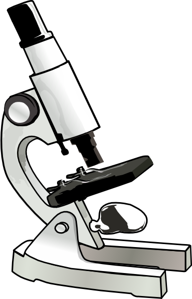 384x599 Microscope Clip Art