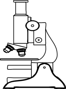 222x300 Microscope Outline Clip Art
