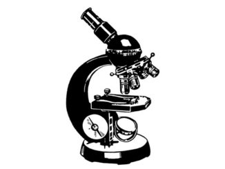 326x245 Microscope Clipart Images