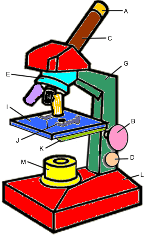 508x826 Parts Of A Microscope Clipart 2