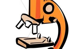 235x165 Plush Microscope Clip Art A Cell Behind Wikiclipart