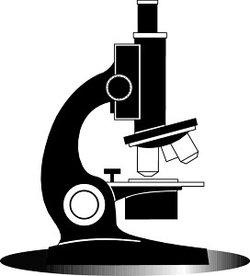 250x276 Diagram Of The Microscope Clipart Panda