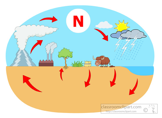 550x400 Microscope Diagram For Kids Clipart Panda