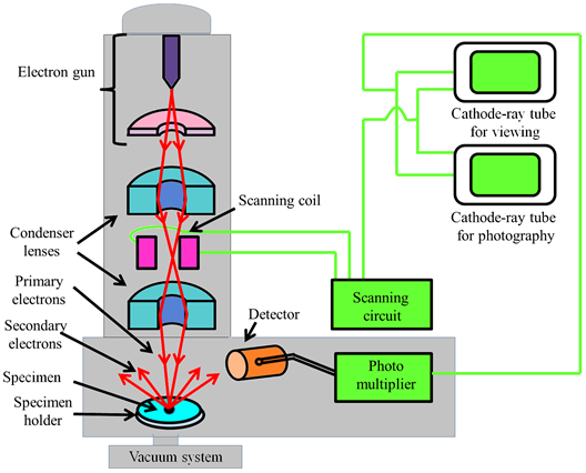 528x426 Microscope Lens Diagram Clipart Panda