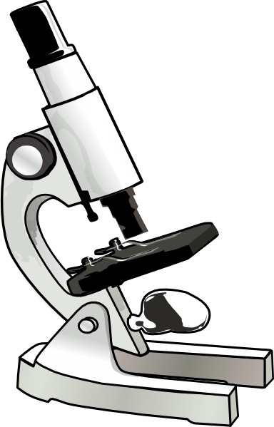 384x599 Light Microscopy Clipart Drawing Label