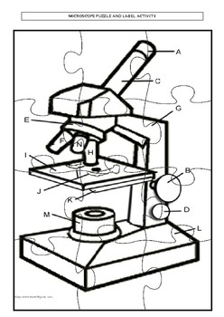 248x350 Microscope Puzzle And Label Activity Tpt