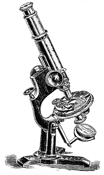 208x349 Bausch Amp Lomb